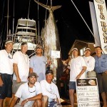 Artemis Big rock 640
