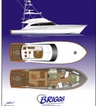 Briggs 63′